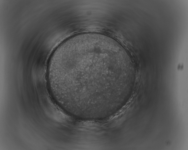 X0000091550146200708241802