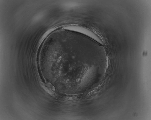 X0000091550147200708241802