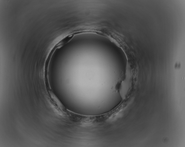 X0000091550148200708241802