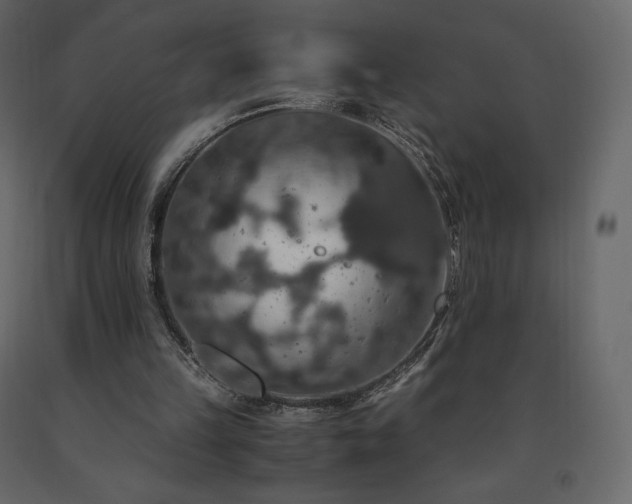 X0000091550149200708241802