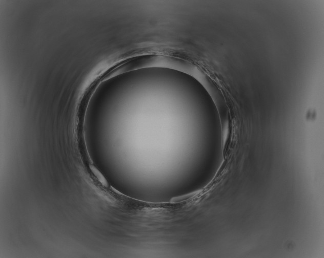 X0000091550150200708241802