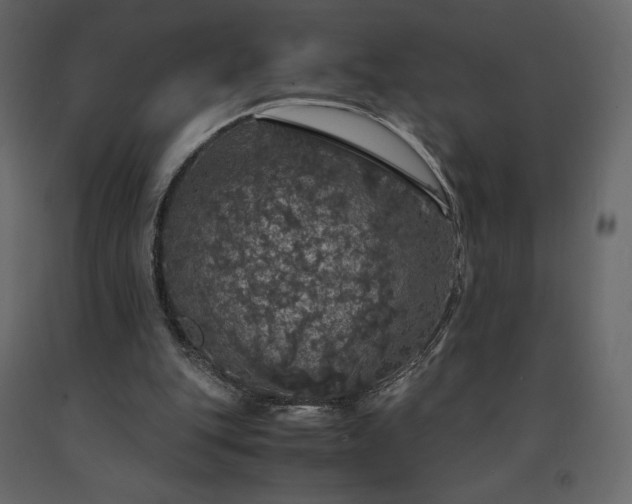 X0000091550151200708241802
