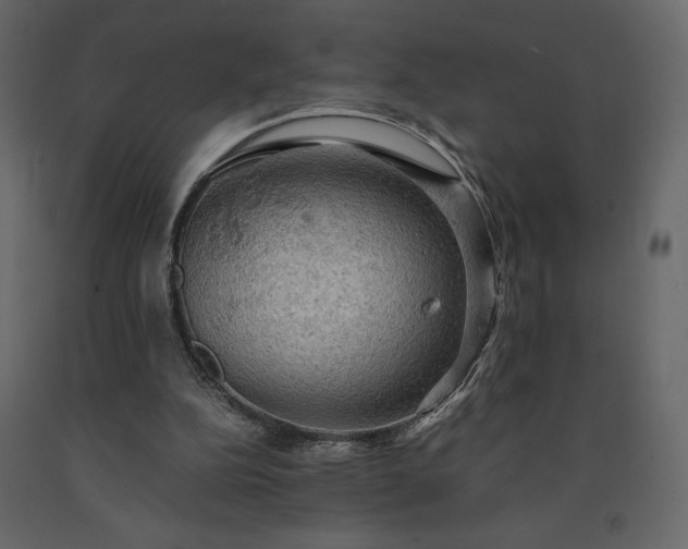 X0000091550152200708241802