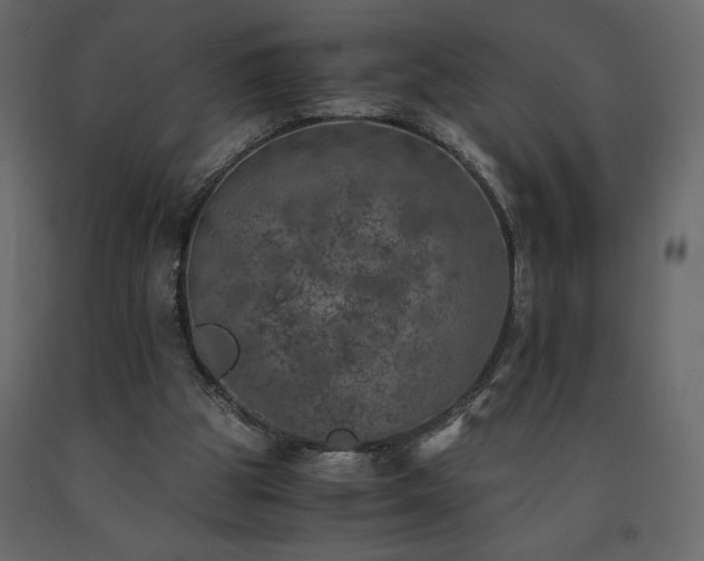 X0000091550153200708241802