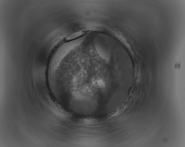 X0000091550154200708241802