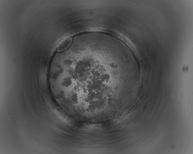 X0000091550155200708241802