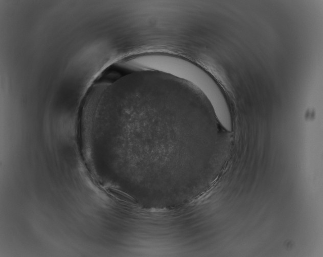 X0000091550156200708241802