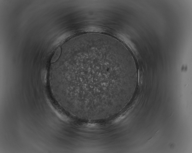 X0000091550157200708241802