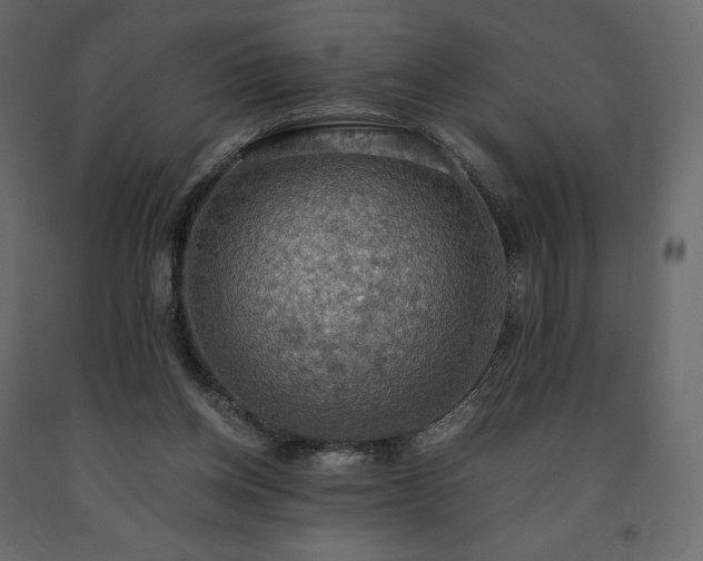 X0000091550158200708241802