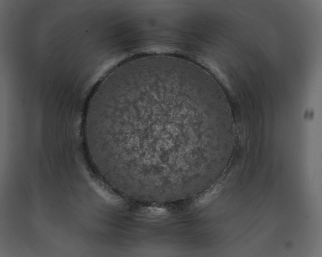 X0000091550159200708241802