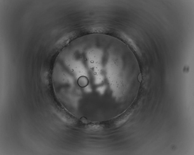 X0000091550161200708241802