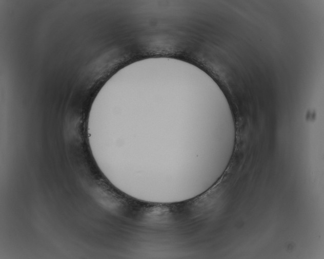 X0000091550162200708241803