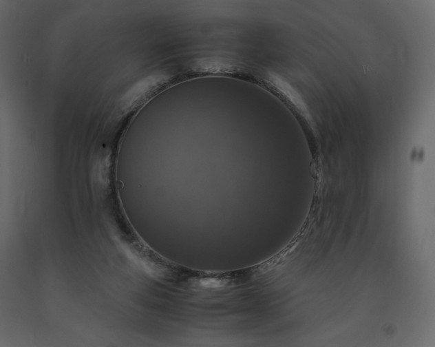 X0000091550163200708241803