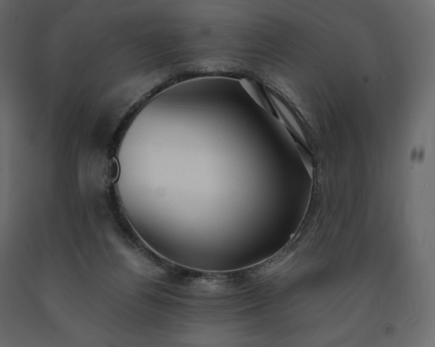 X0000091550164200708241803