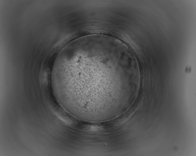 X0000091550165200708241803
