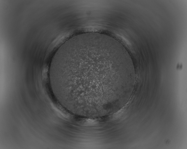 X0000091550166200708241803