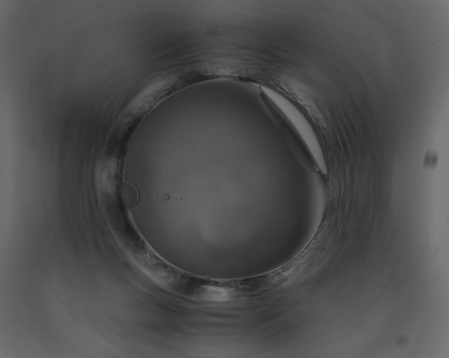 X0000091550167200708241803