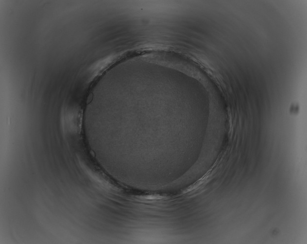 X0000091550168200708241803