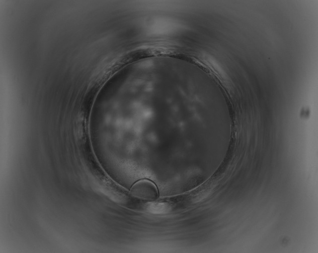 X0000091550169200708241803