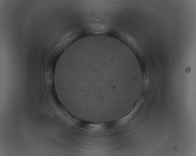 X0000091550170200708241803