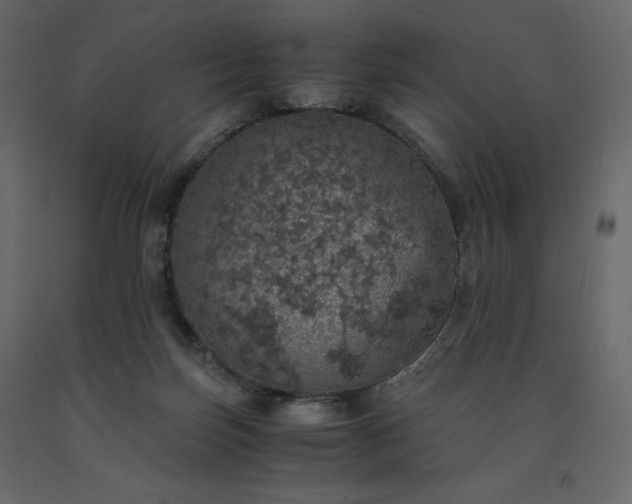 X0000091550171200708241803