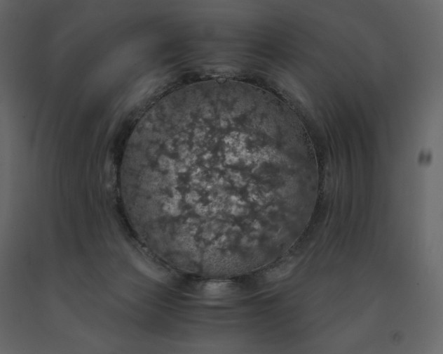 X0000091550173200708241803