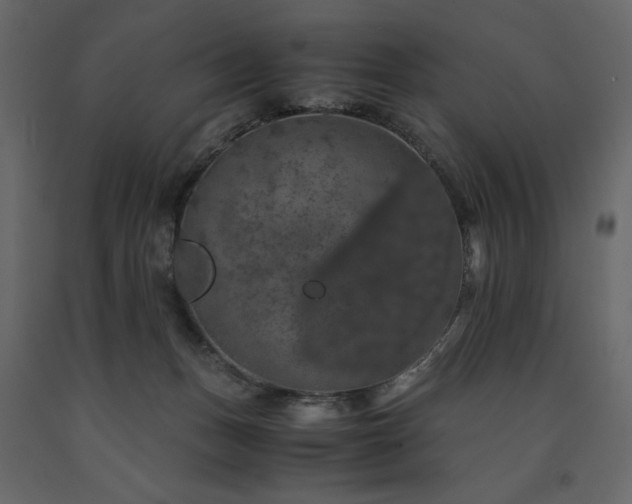 X0000091550175200708241803