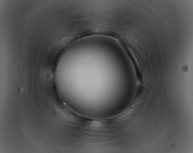 X0000091550176200708241803