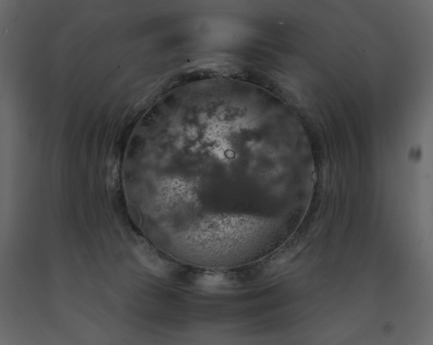 X0000091550177200708241803