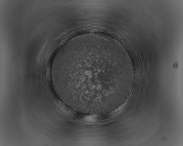 X0000091550178200708241803