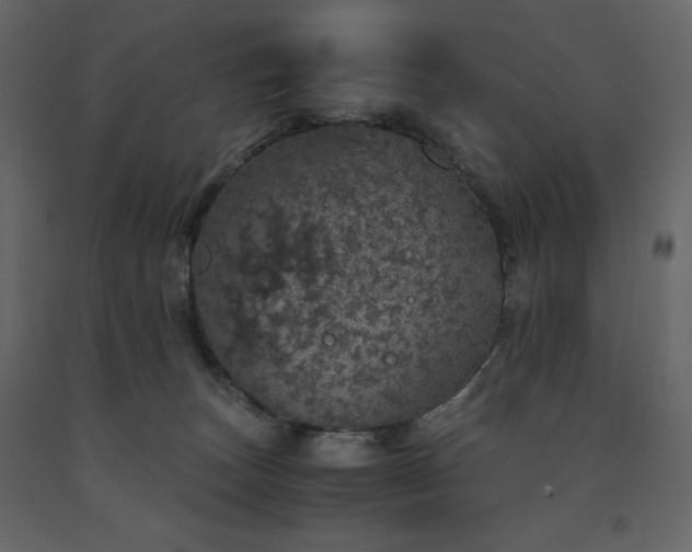 X0000091550179200708241803