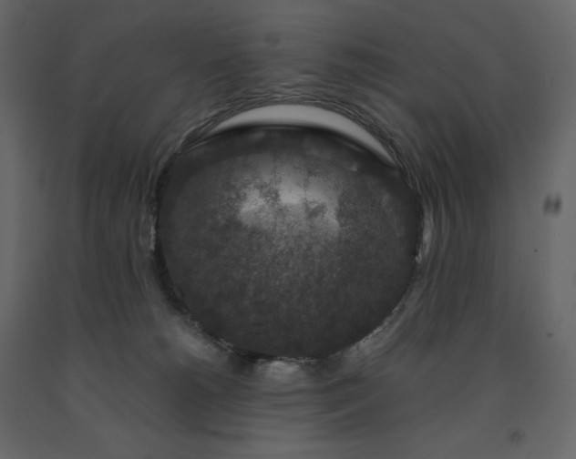 X0000091550180200708241803