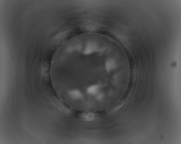 X0000091550181200708241803