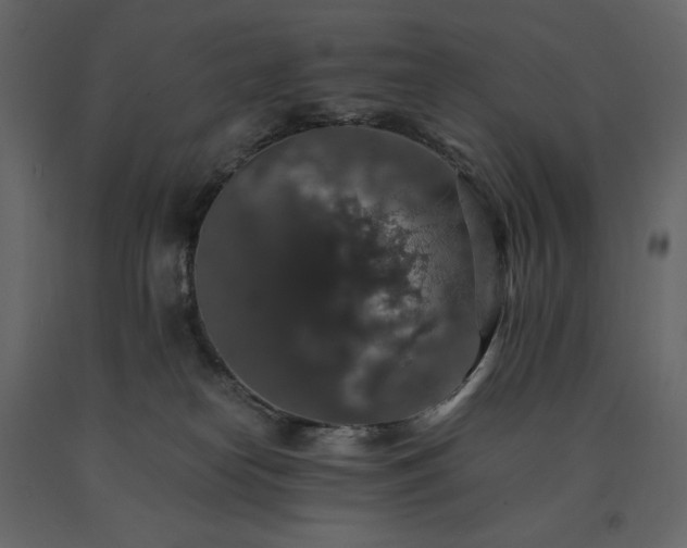X0000091550182200708241803