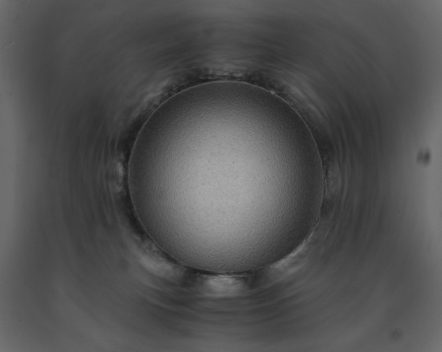 X0000091550183200708241803