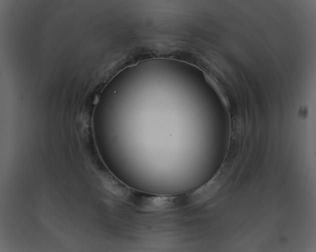 X0000091550184200708241803