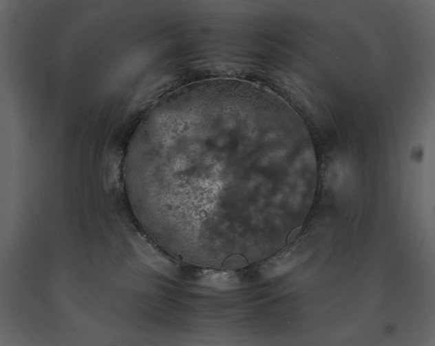 X0000091550185200708241803