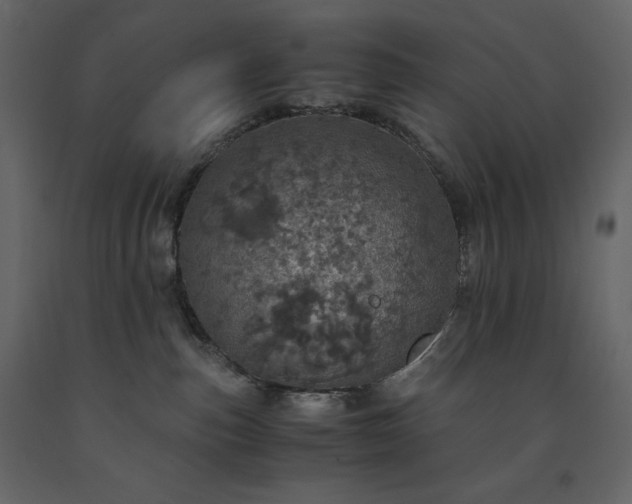 X0000091550187200708241803
