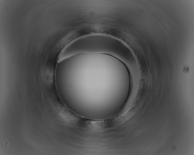 X0000091550188200708241803