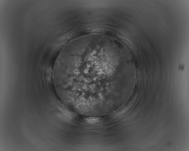 X0000091550189200708241803