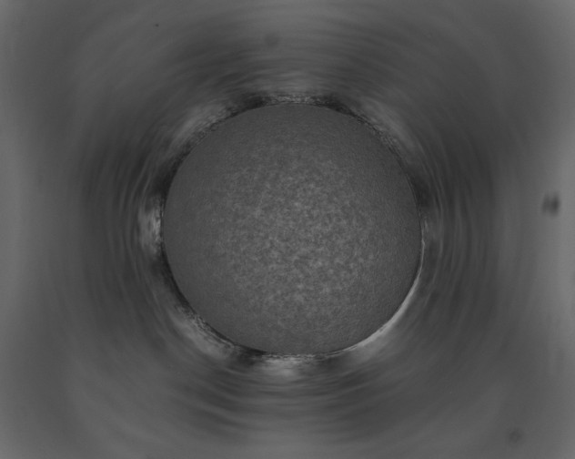 X0000091550190200708241803