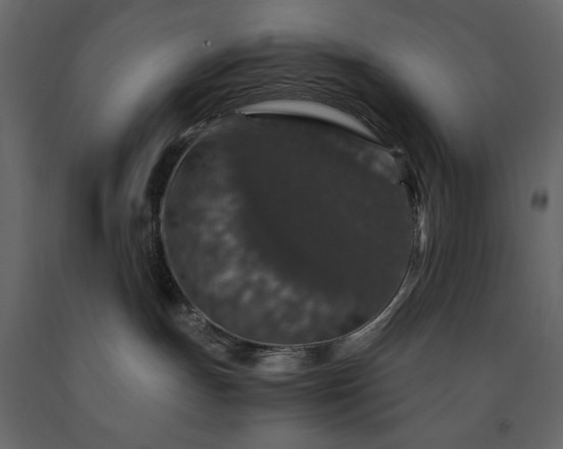 X0000091550191200708241803