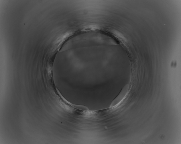 X0000091550192200708241803
