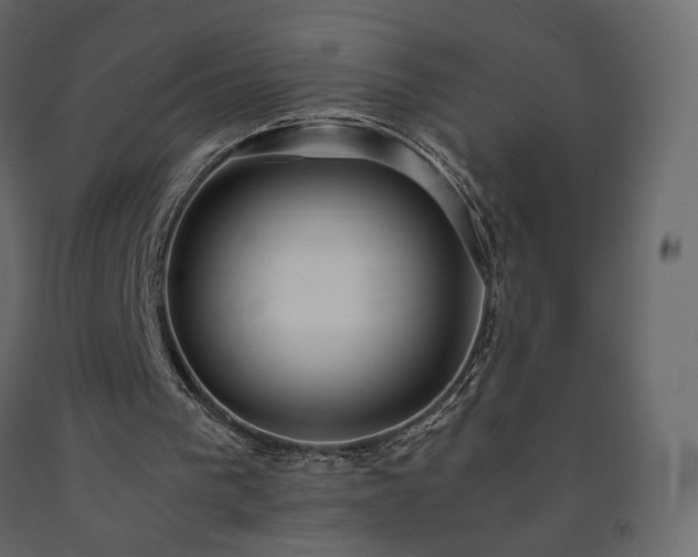 X0000091550193200708241802
