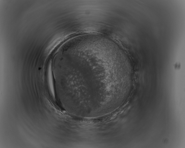 X0000091550194200708241802