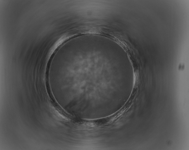 X0000091550195200708241802