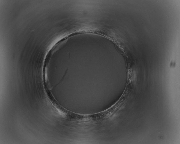 X0000091550196200708241802