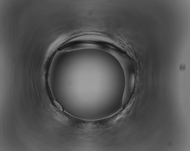 X0000091550197200708241802