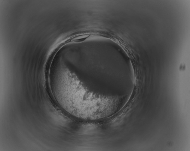 X0000091550198200708241802