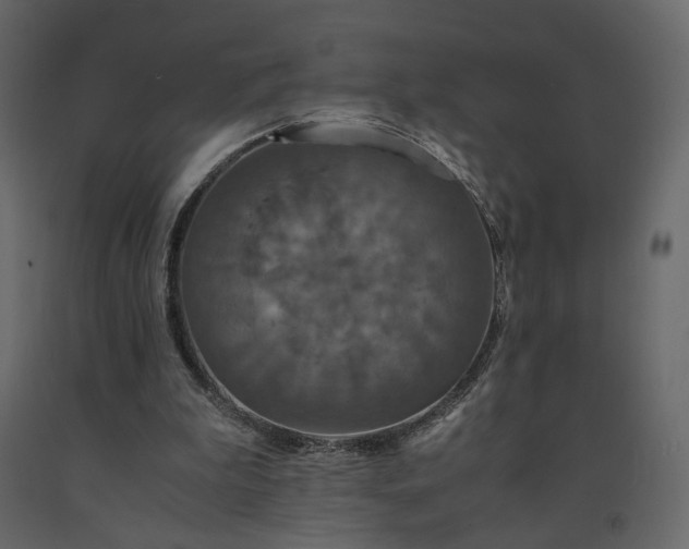 X0000091550199200708241802